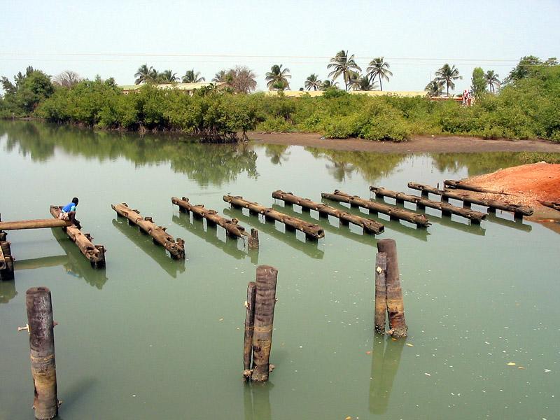 Photos: Senegal (pictures, images)