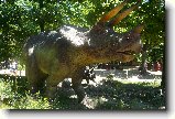 Foto:Lto 2010:DINOpark Plze