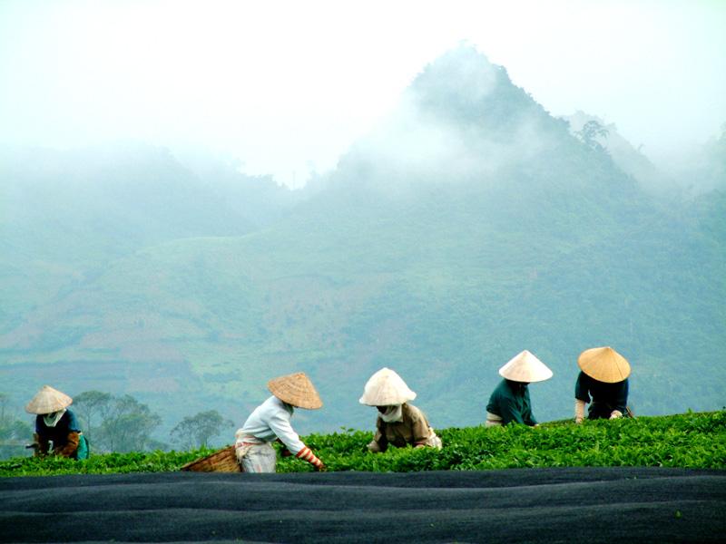 Fotky: Vietnam (foto, obrazky)