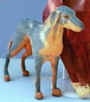 :  > Maratský lovecký pes (Mahratta Greyhound)