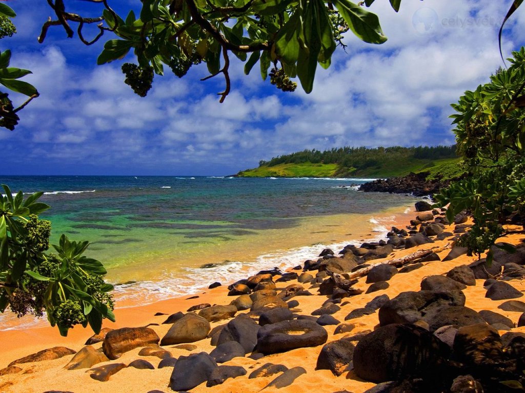 Foto: Beach Shade, Moloaa, Kauai, Hawaii