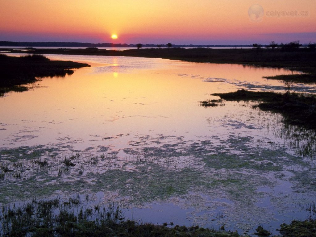 Foto: Marshlands Sunset, Assateague Island, Maryland