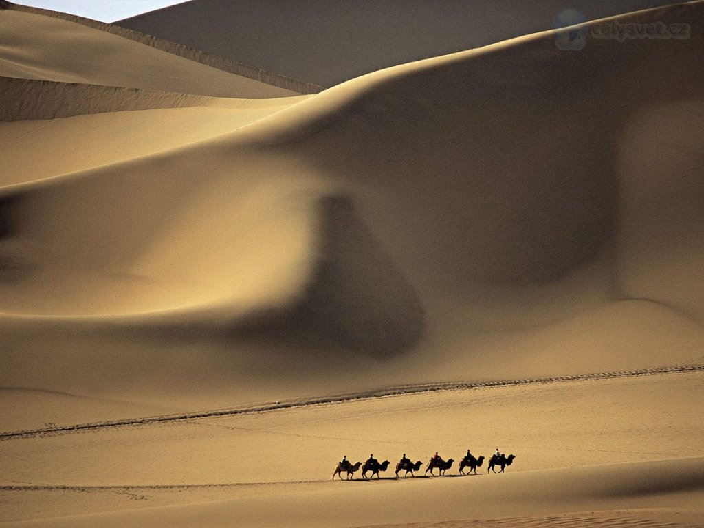 Foto: Camel Caravan Passes Through The, Sands That Sing,  Taklimakan Desert, China