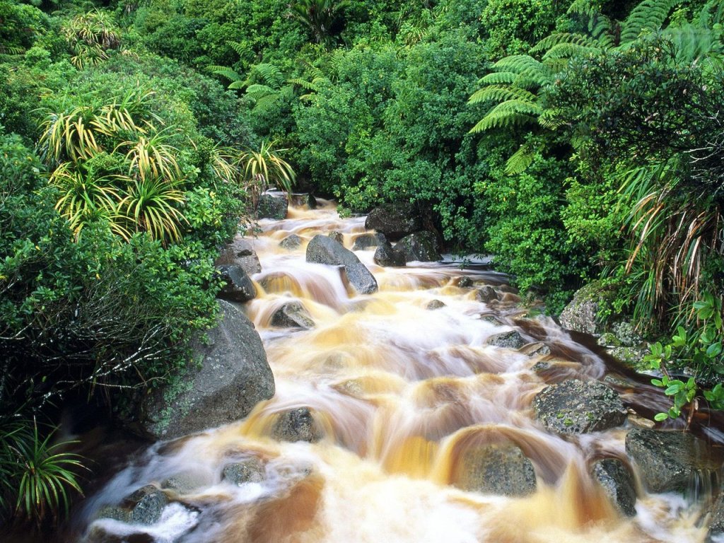 Foto: Karamea, South Island, New Zealand