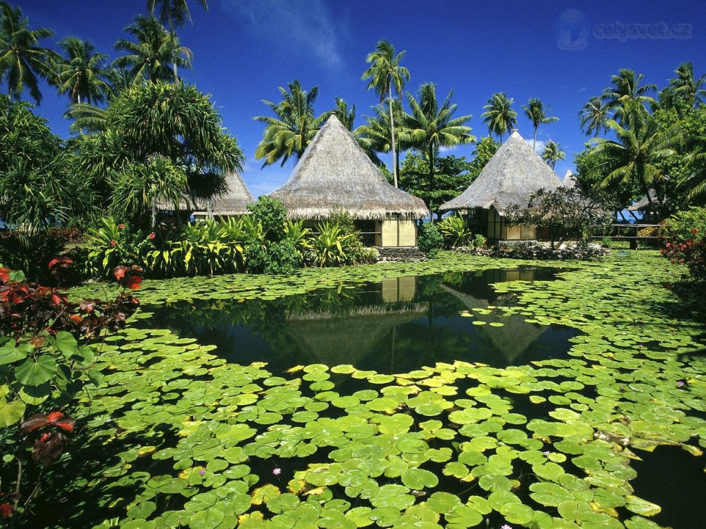 Foto: Lily Pads And Thatched Huts, Tahiti, French Polynesia