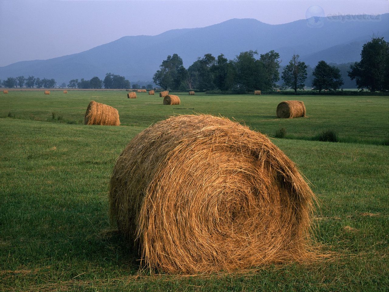 Foto: Evening Light On Hay Rolls, Great Smoky Mountains National Park, Tennessee