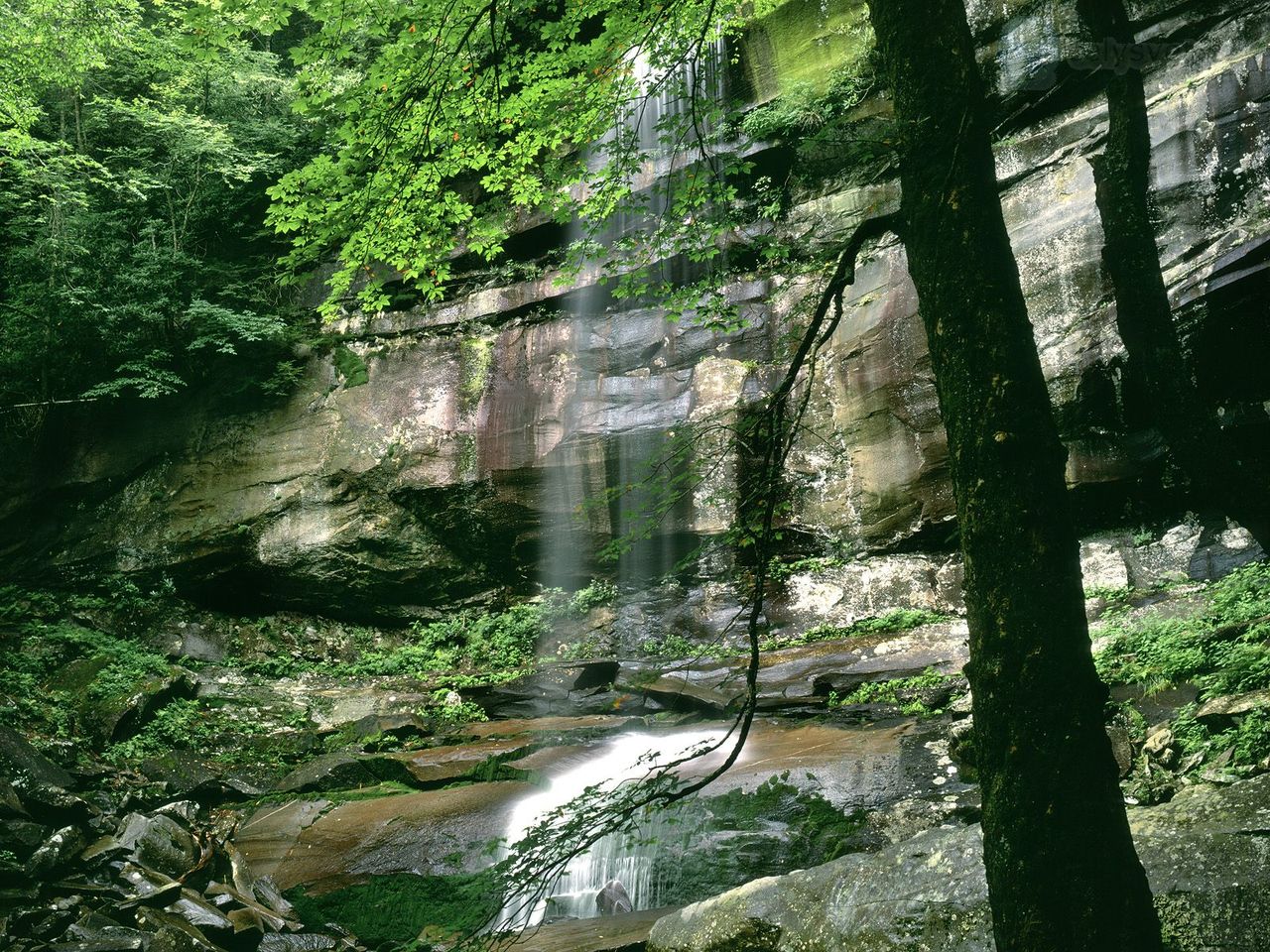 Foto: Rainbow Falls In Late Spring, Great Smoky Mountains National Park, Tennessee