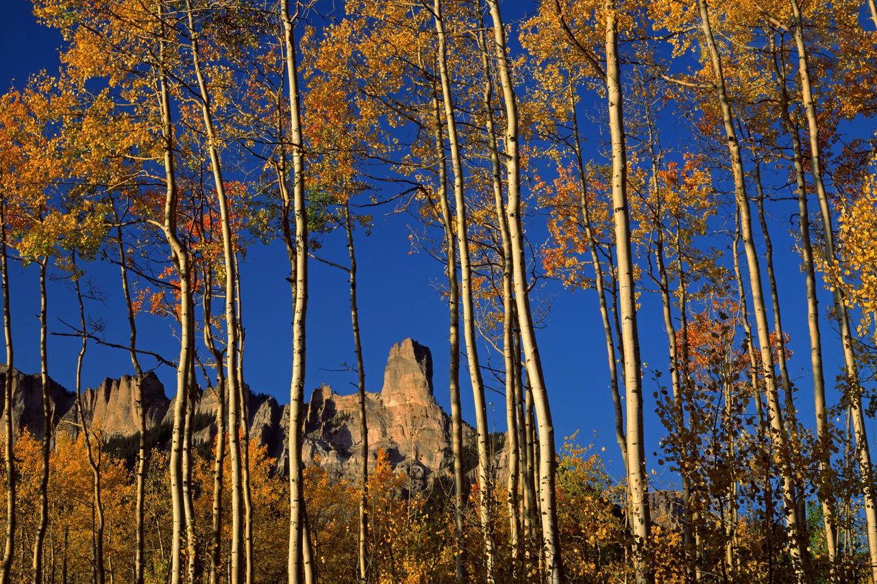 Foto: Chimney Rock And Courthouse Mountain In Fall, Uncompahgre National Forest, Colorado