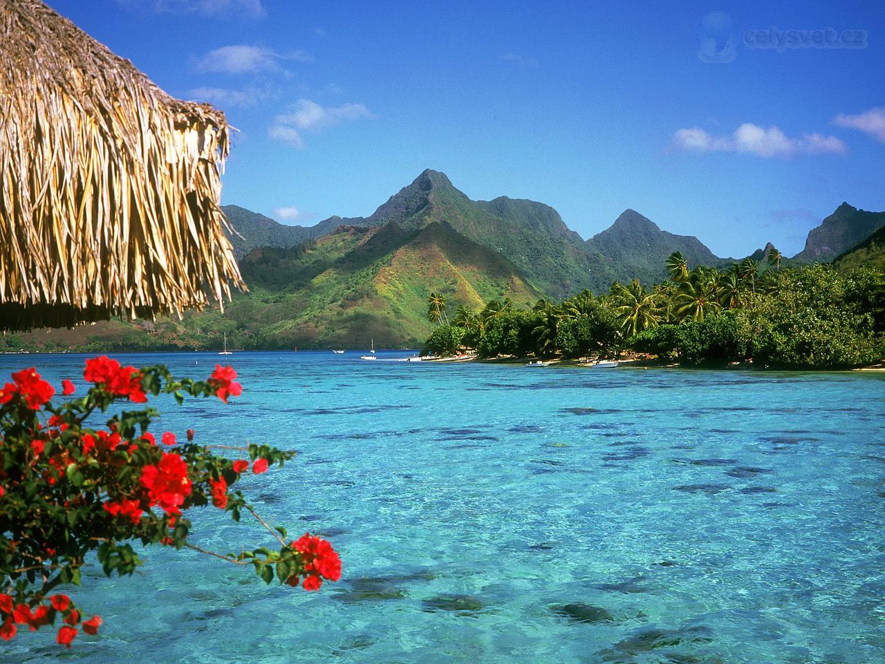 Foto: Tranquil Lagoon, Bora Bora Island, French Polynesia