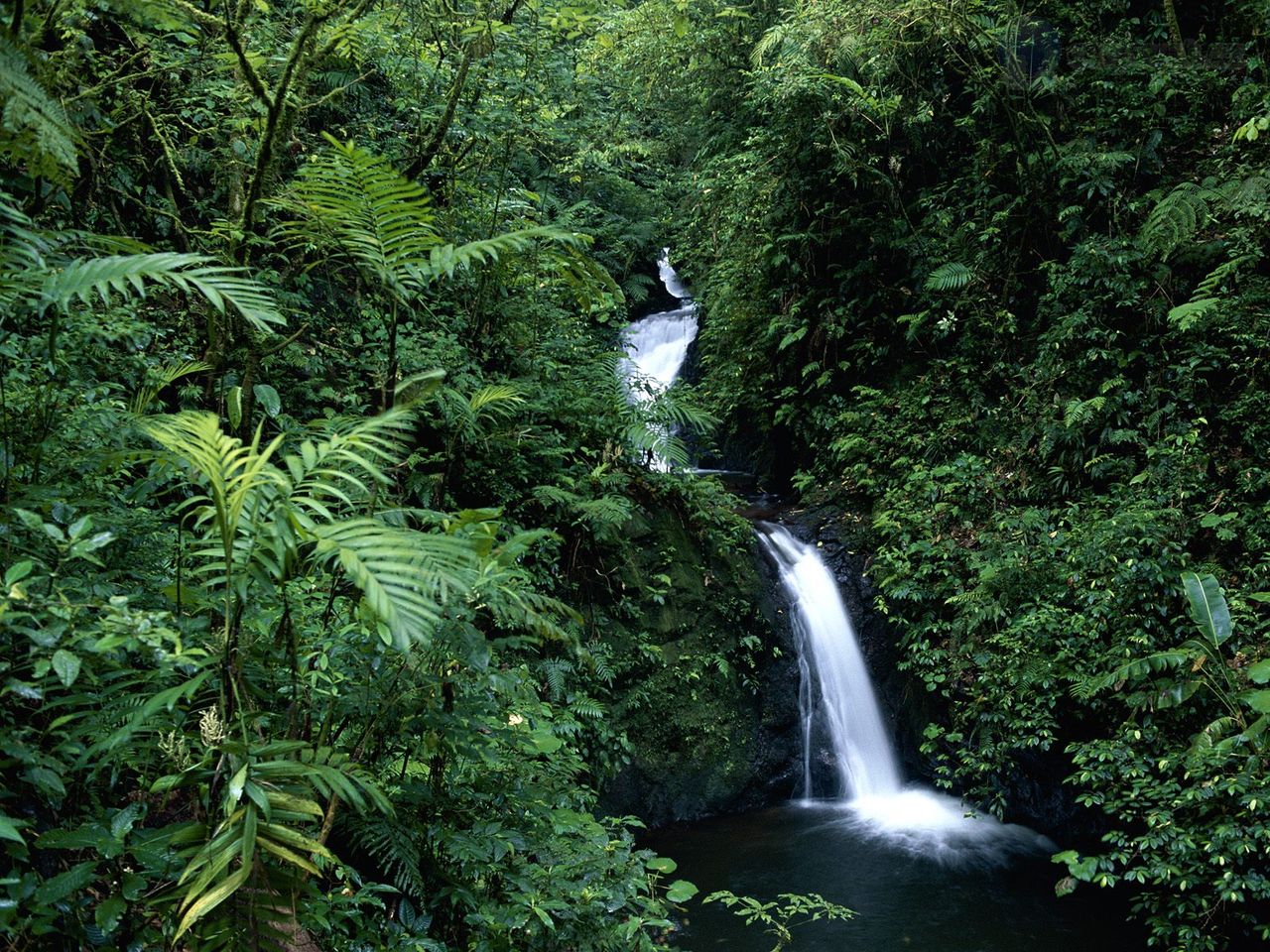 Foto: Waterfall, Monteverde Cloud Forest Reserve, Costa Rica