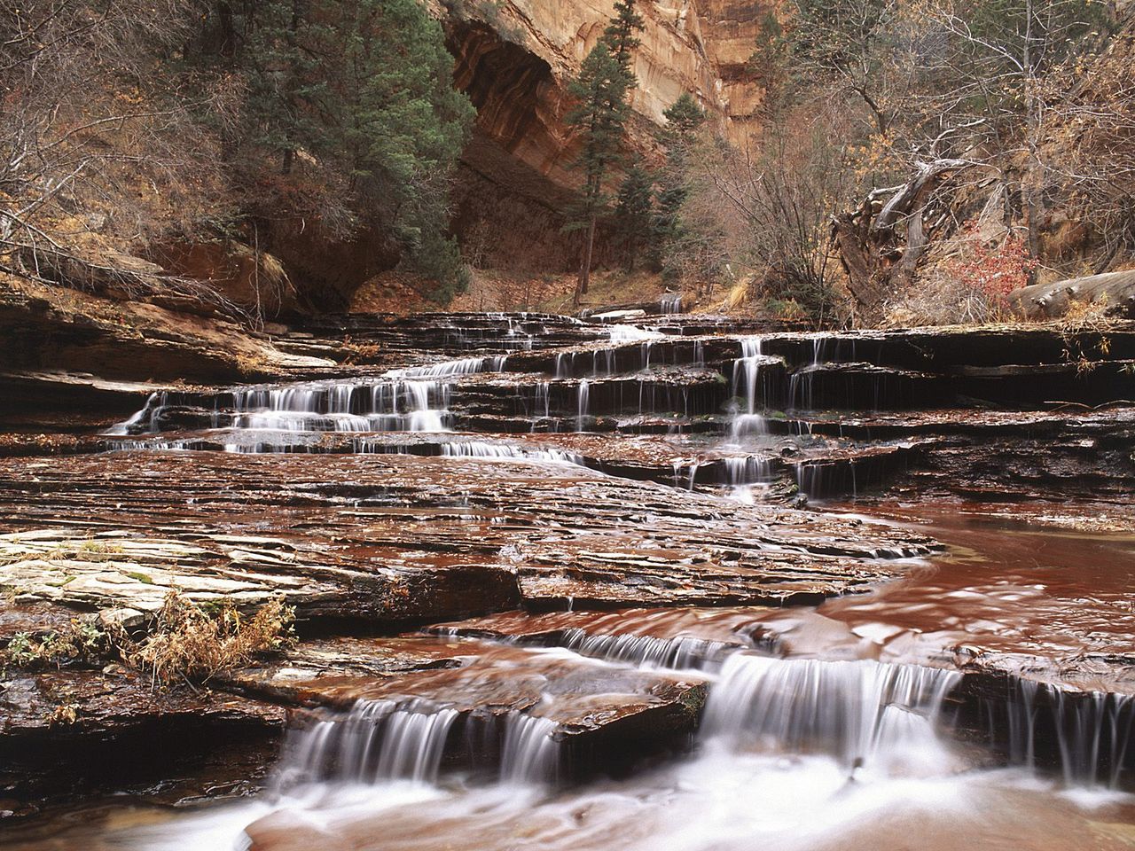 Foto: Left Fork Of North Creek, Zion National Park, Utah