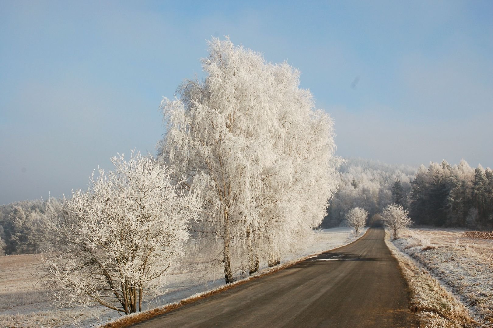 Foto: Zimn cesta