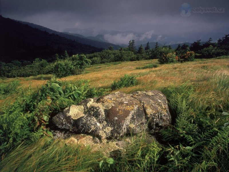 Foto: Approaching Storm, Carvers Gap, Roan Mountain, Tennessee