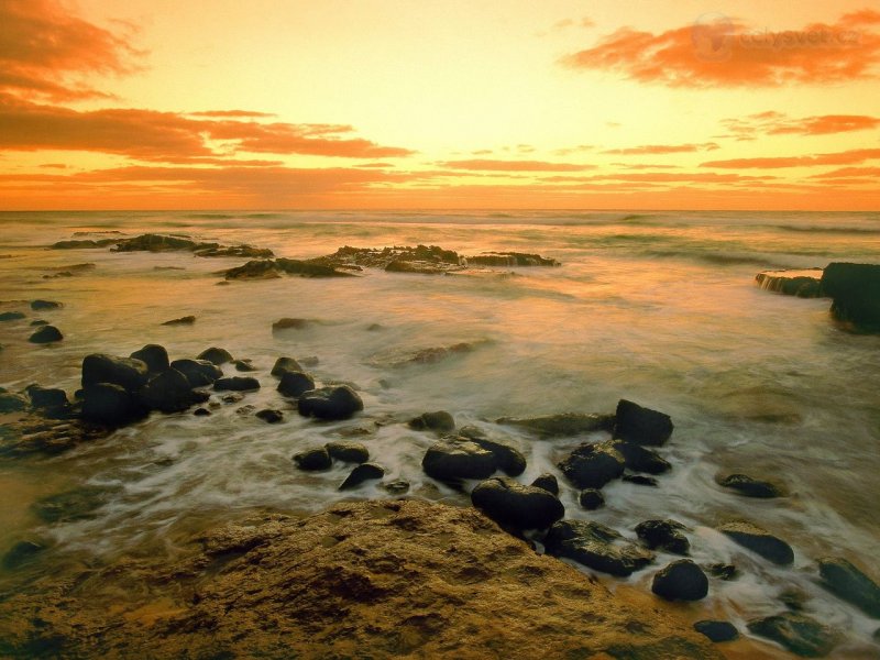 Foto: Hawaiian Seascape, Hawaii