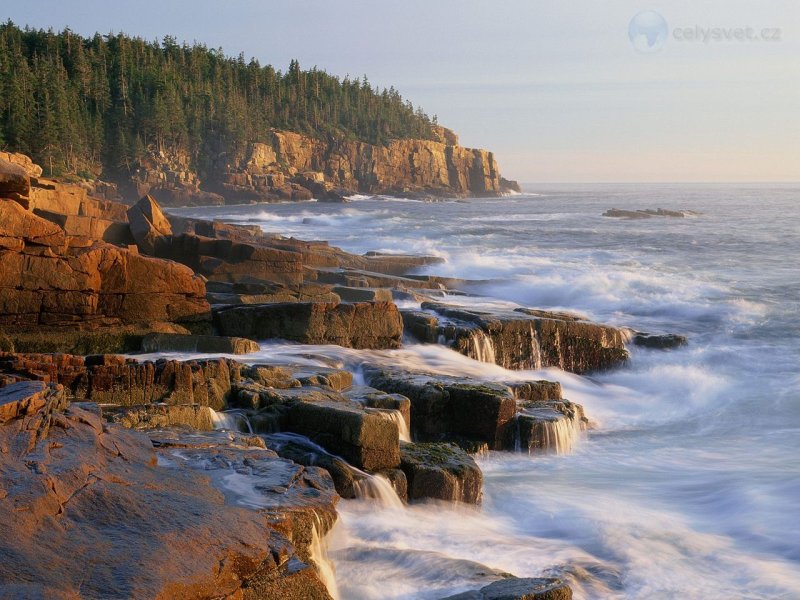 Foto: Otter Cliff, Acadia National Park, Maine