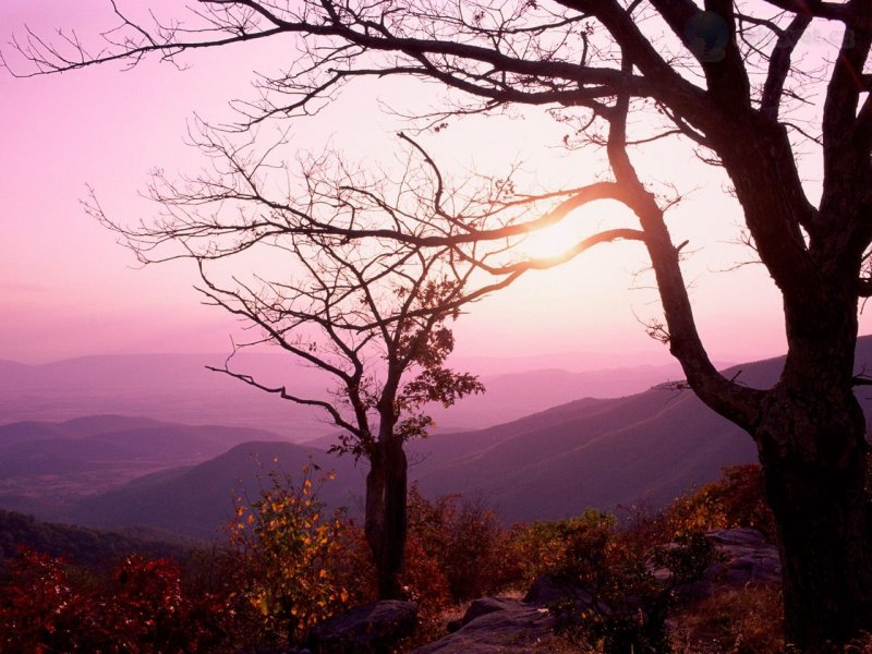 Foto: Shenandoah National Park, Virginia