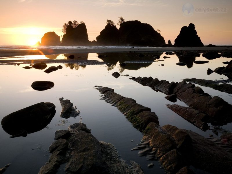 Foto: Sunset Over Point Of The Arches, Shi Shi Beach, Olympic National Park, Washington