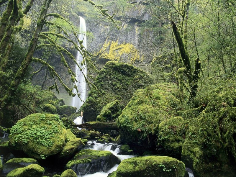 Foto: Elowah Falls, Columbia River Gorge National Scenic Area, Oregon