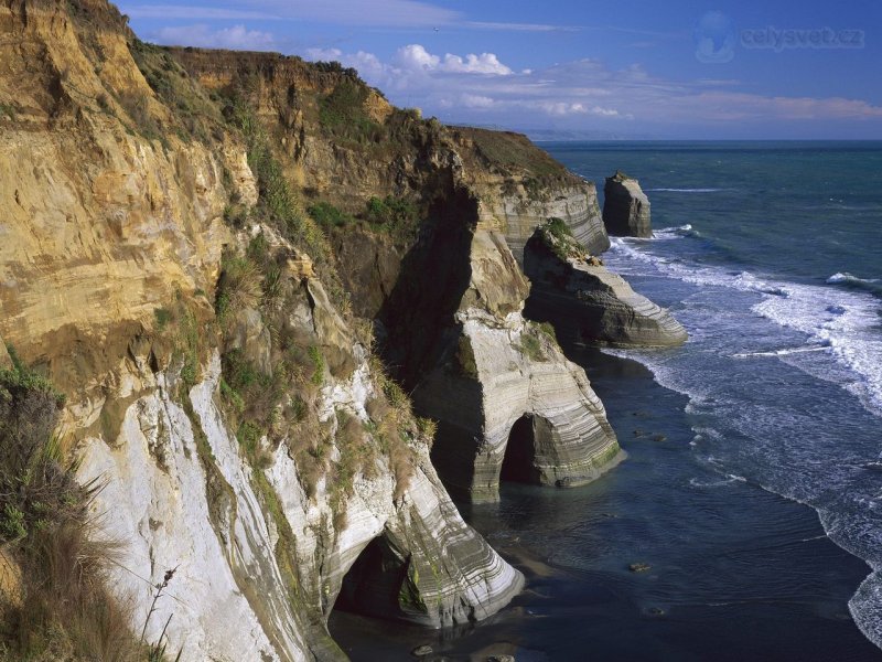 Foto: Wave Sculpted Sandstone,  Tongaporutu, North Taranski, New Zealand