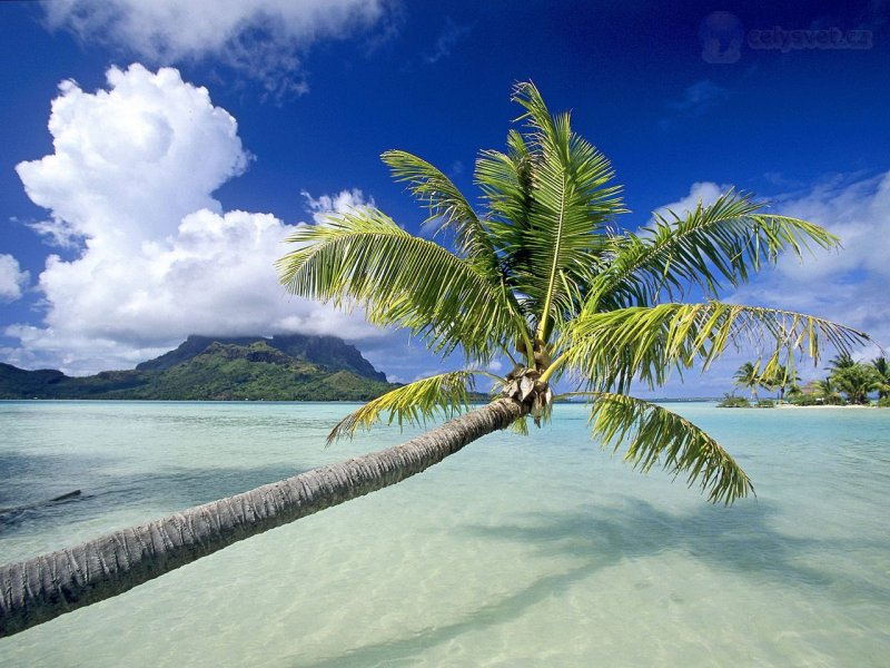 Foto: Tropical Escape, Bora Bora, French Polynesia