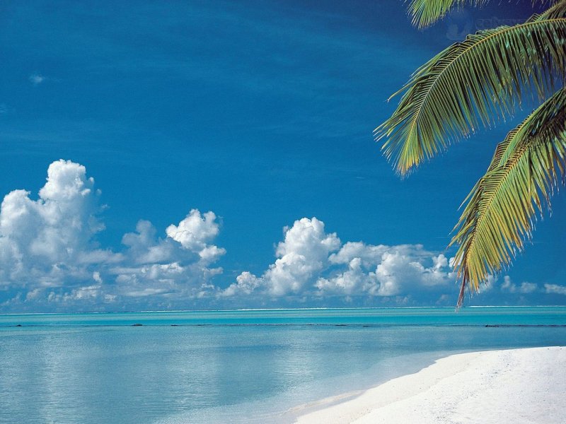 Foto: Tropical Beach, Aitutaki, Cook Islands