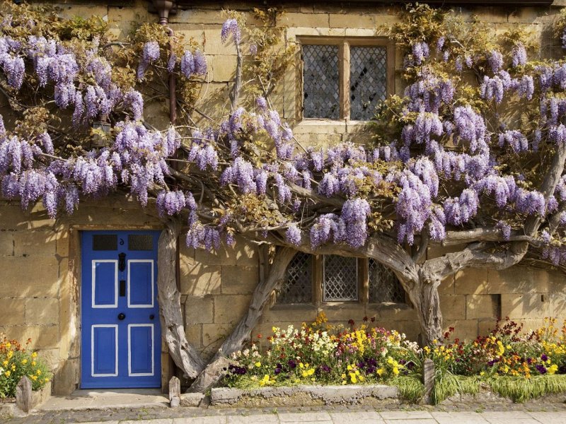 Foto: Wisteria Covered Cottage, The Cotswolds, England