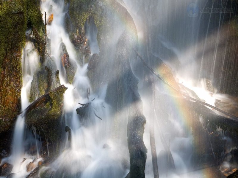 Foto: Rainbow And Waterfall, Dartmoor National Park, Devon, England