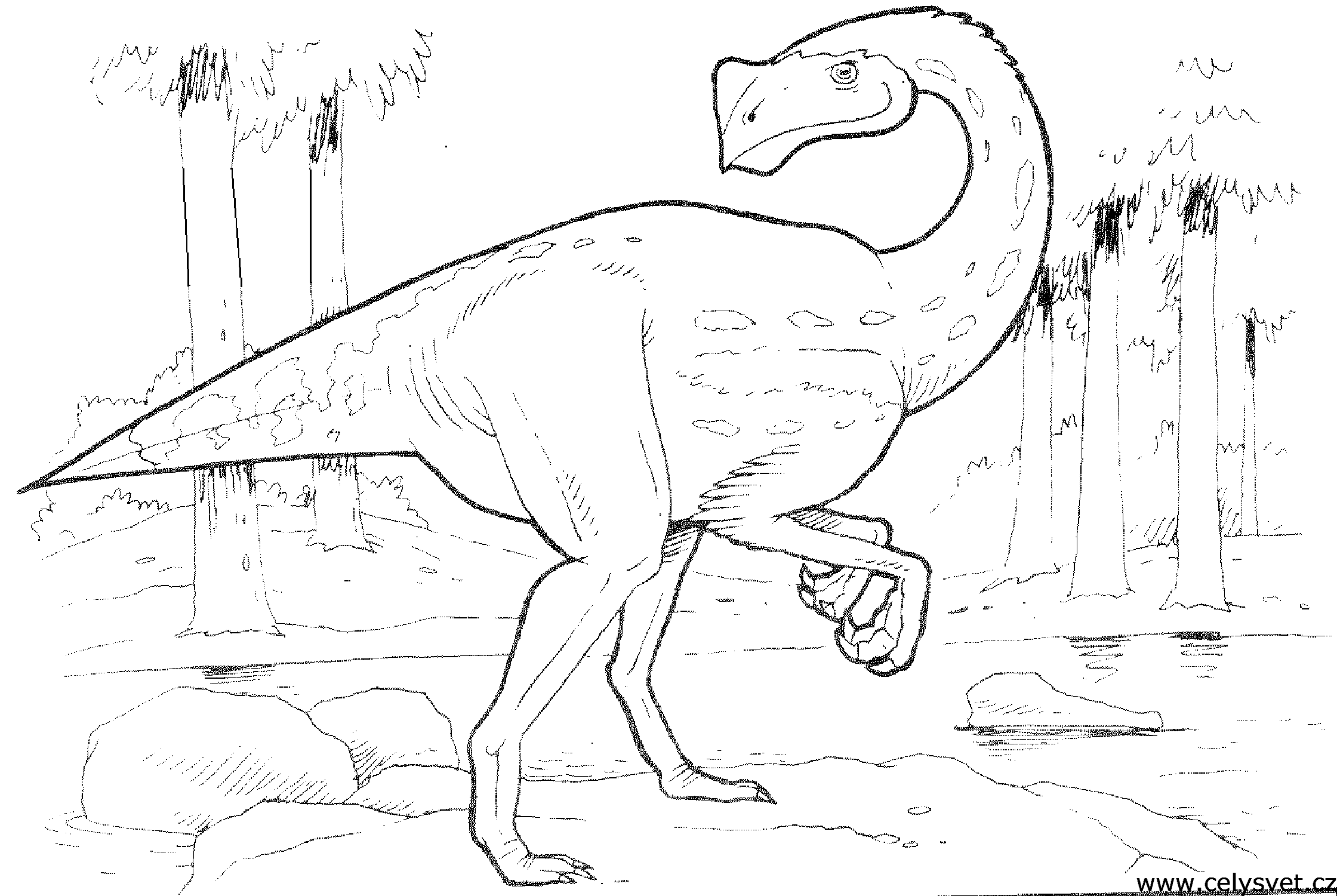 Omalovnka: Zvata: Dinosaui, dinosaurus