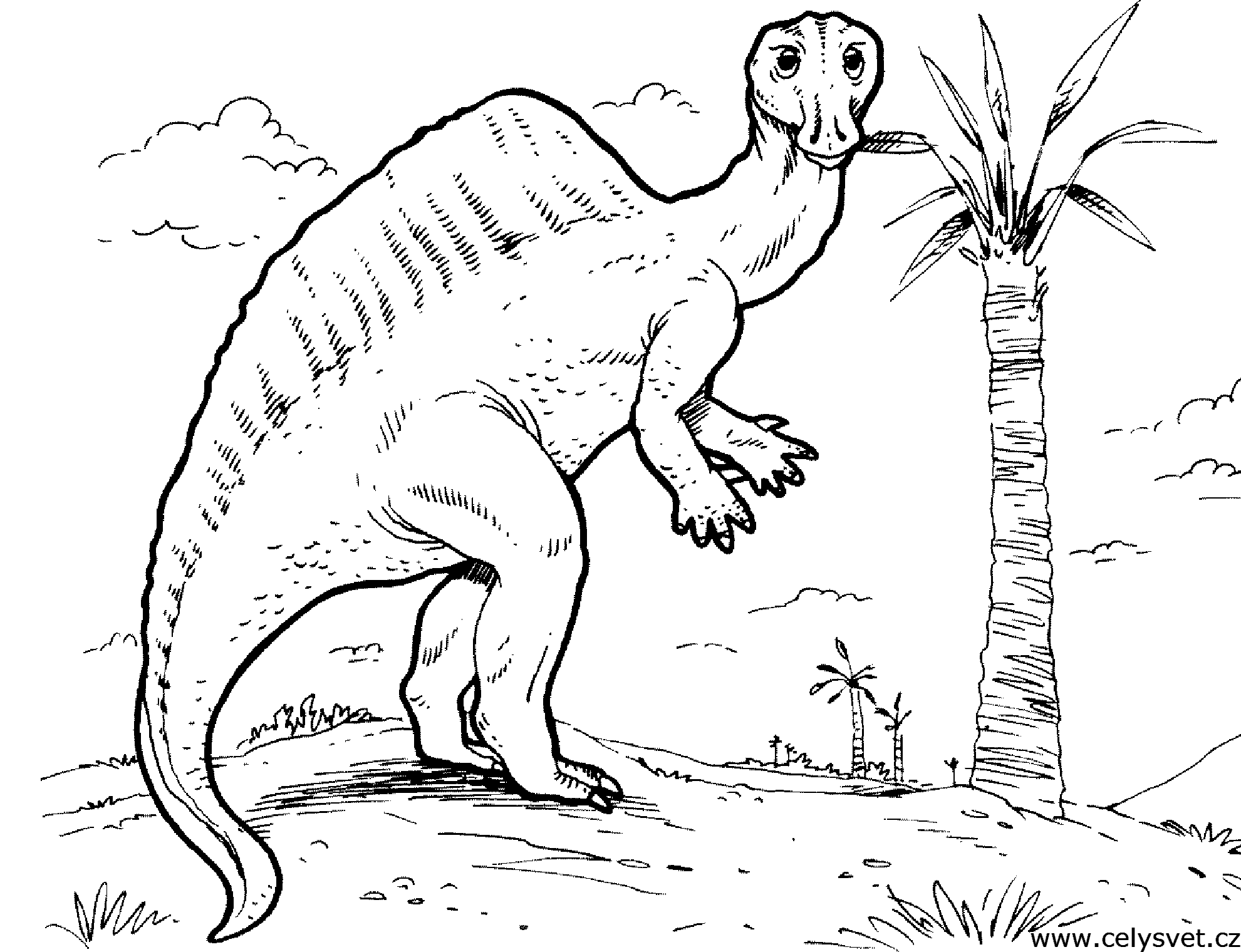 Omalovnka: Zvata: Dinosaui, dinosaurus