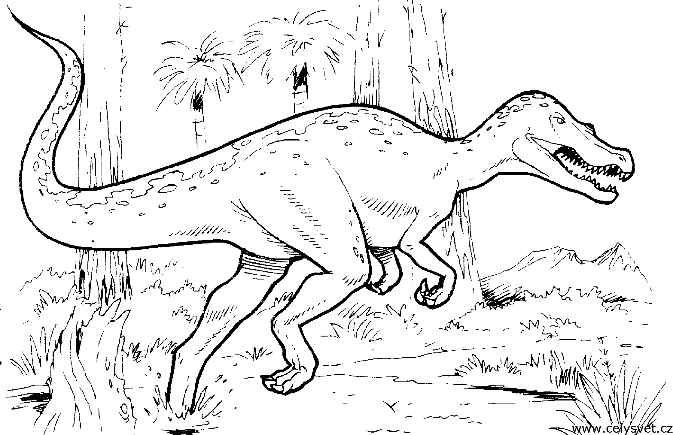 Omalovnka: Zvata: Dinosaui, dinosaurus