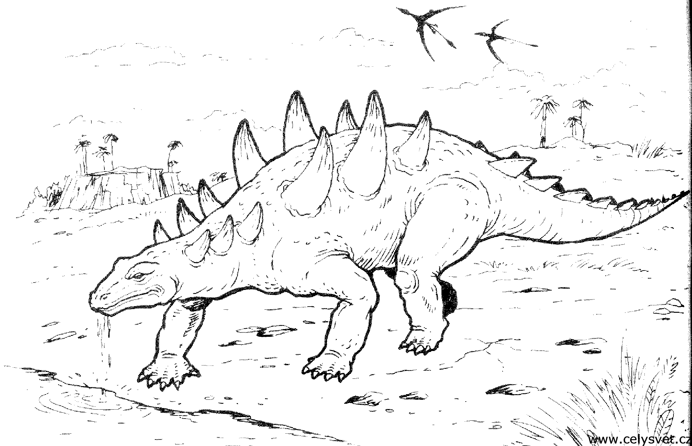 Omalovnka: Zvata: Dinosaui, dinosaurus