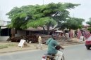 Photos: Togo (pictures, images)