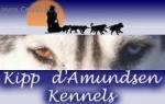 Chovatelska stanice ps: KIPP DAMUNDSEN SIBERIAN HUSKY KENNELS